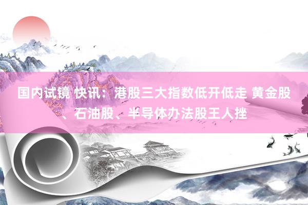 国内试镜 快讯：港股三大指数低开低走 黄金股、石油股、半导体办法股王人挫