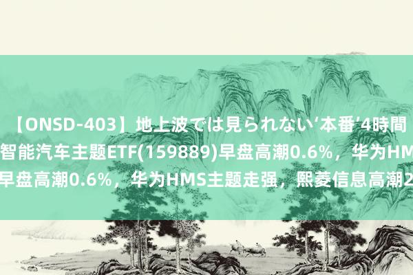 【ONSD-403】地上波では見られない‘本番’4時間 ETF最前哨 | 国泰中证智能汽车主题ETF(159889)早盘高潮0.6%，华为HMS主题走强，熙菱信息高潮20.0%