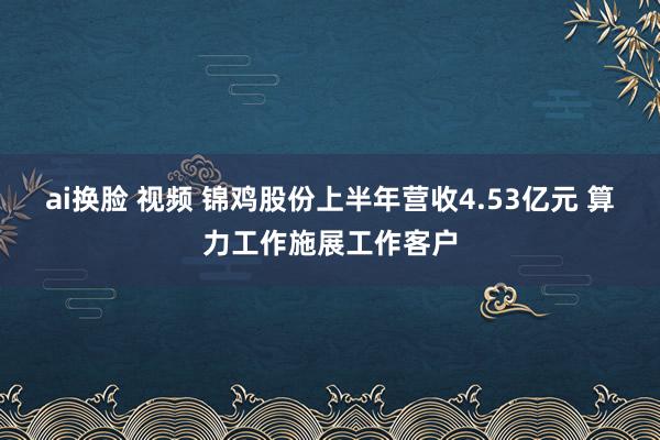 ai换脸 视频 锦鸡股份上半年营收4.53亿元 算力工作施展工作客户