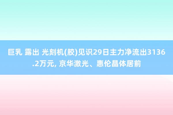 巨乳 露出 光刻机(胶)见识29日主力净流出3136.2万元， 京华激光、惠伦晶体居前