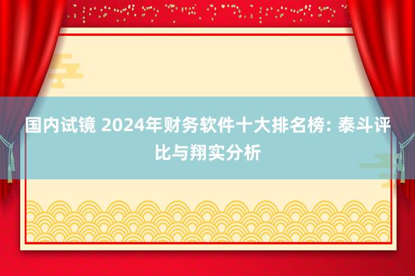 国内试镜 2024年财务软件十大排名榜: 泰斗评比与翔实分析