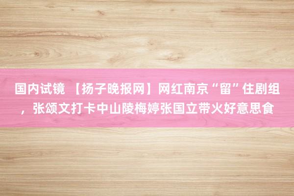 国内试镜 【扬子晚报网】网红南京“留”住剧组，张颂文打卡中山陵梅婷张国立带火好意思食