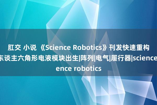 肛交 小说 《Science Robotics》刊发快速重构高速机器东谈主六角形电液模块出生|阵列|电气|履行器|science robotics