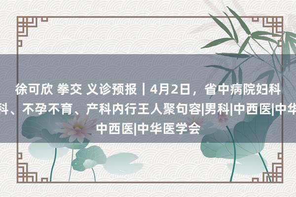 徐可欣 拳交 义诊预报｜4月2日，省中病院妇科、男性科、不孕不育、产科内行王人聚句容|男科|中西医|中华医学会