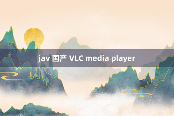 jav 国产 VLC media player