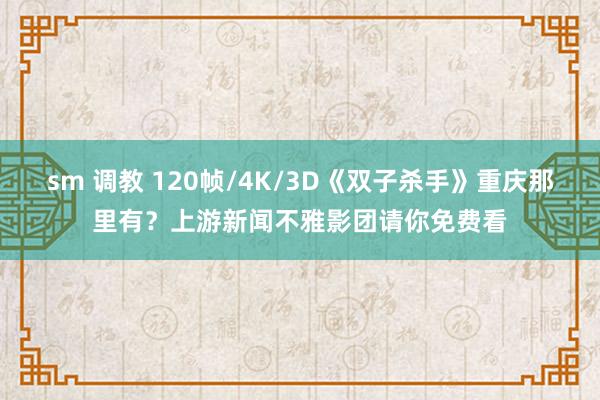 sm 调教 120帧/4K/3D《双子杀手》重庆那里有？上游新闻不雅影团请你免费看