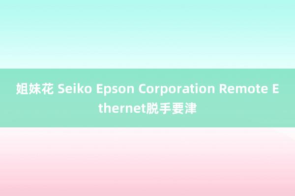 姐妹花 Seiko Epson Corporation Remote Ethernet脱手要津