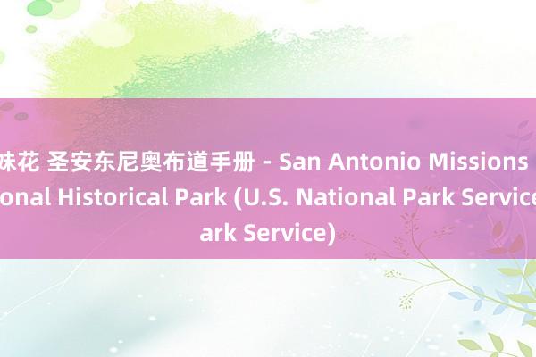 姐妹花 圣安东尼奥布道手册 - San Antonio Missions National Historical Park (U.S. National Park Service)