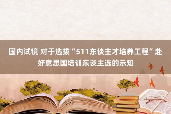 国内试镜 对于选拔“511东谈主才培养工程”赴好意思国培训东谈主选的示知