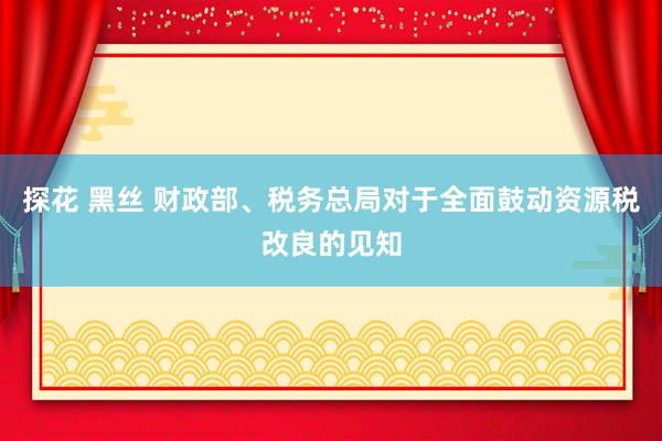 探花 黑丝 财政部、税务总局对于全面鼓动资源税改良的见知