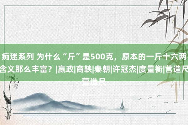 痴迷系列 为什么“斤”是500克，原本的一斤十六两含义那么丰富？|嬴政|商鞅|秦朝|许冠杰|度量衡|营造尺