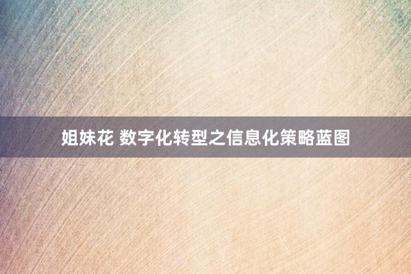 姐妹花 数字化转型之信息化策略蓝图